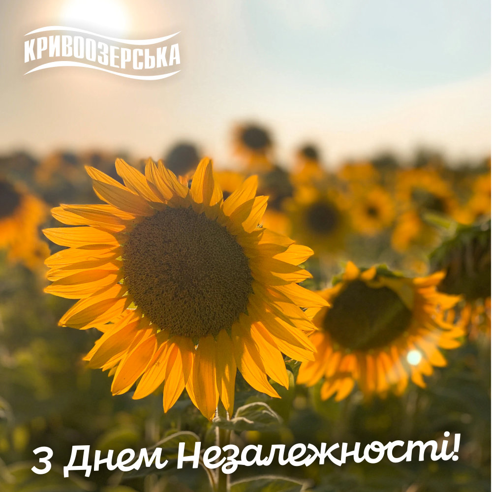 Прев'ю картинка для новини - З Днем Незалежності!